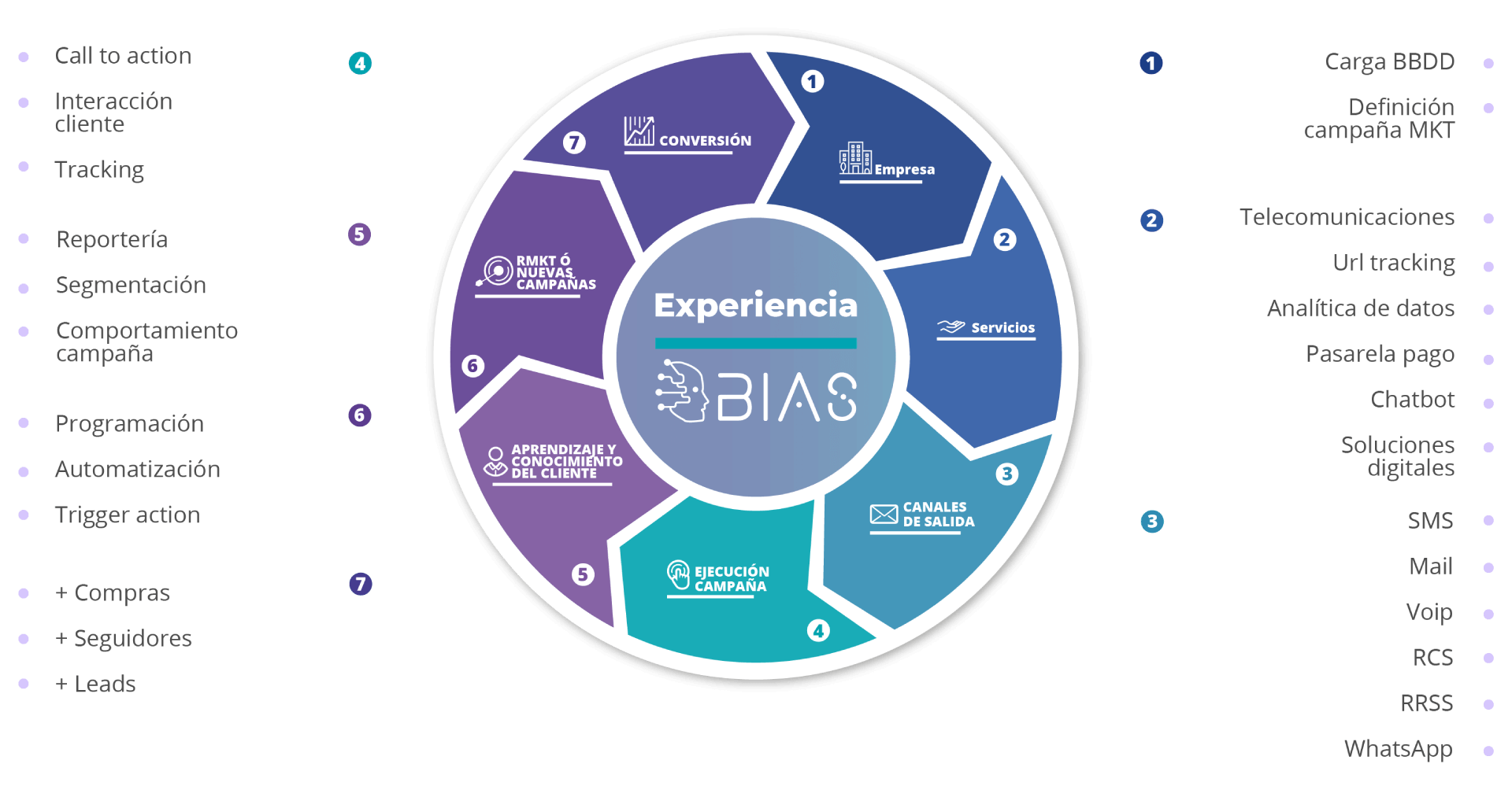 experiencia
